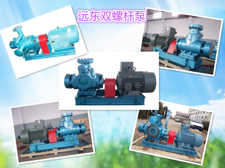 遠東(dōng)雙螺杆泵展示(shì)