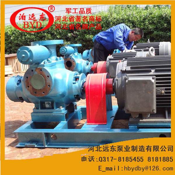 雙螺(luó)杆泵