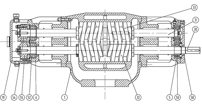雙螺杆(gan)泵結構圖