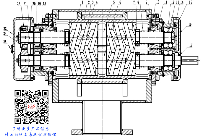 雙螺(luó)杆泵結(jie)構圖